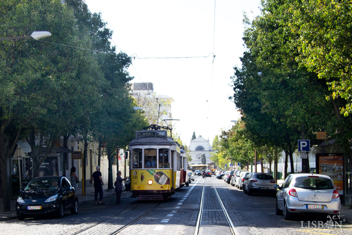 Campo de Ourique | getLISBON