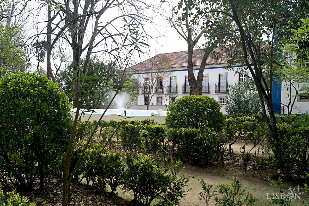 Garden with fountains and centennial trees
