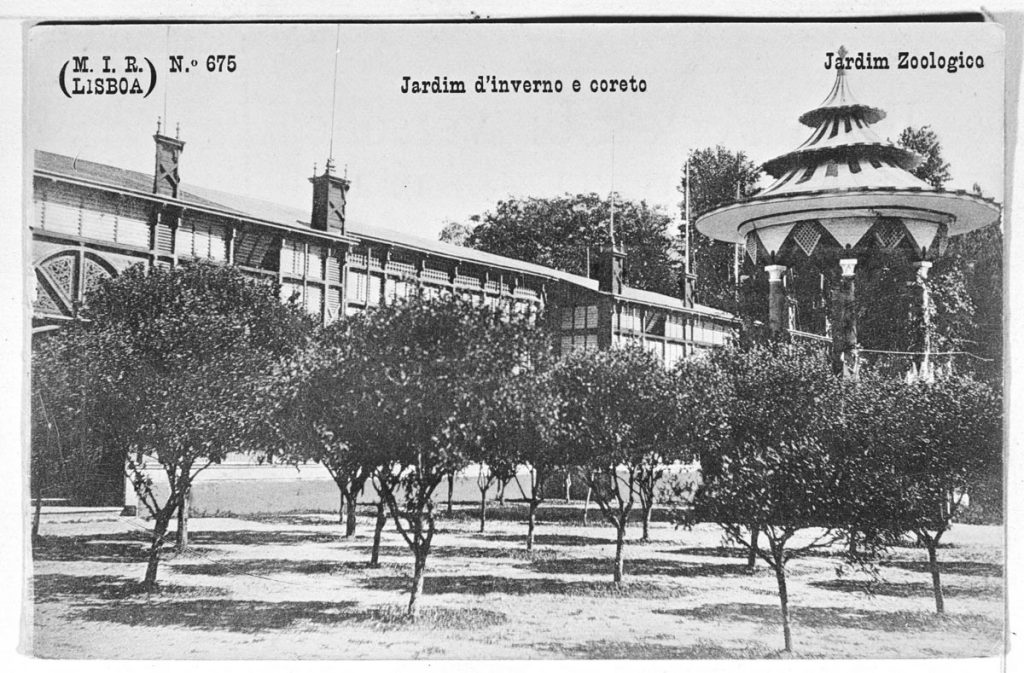Arquivo Municipal de Lisboa; Winter Garden and bandstand of the Lisbon Zoo, post. 1905