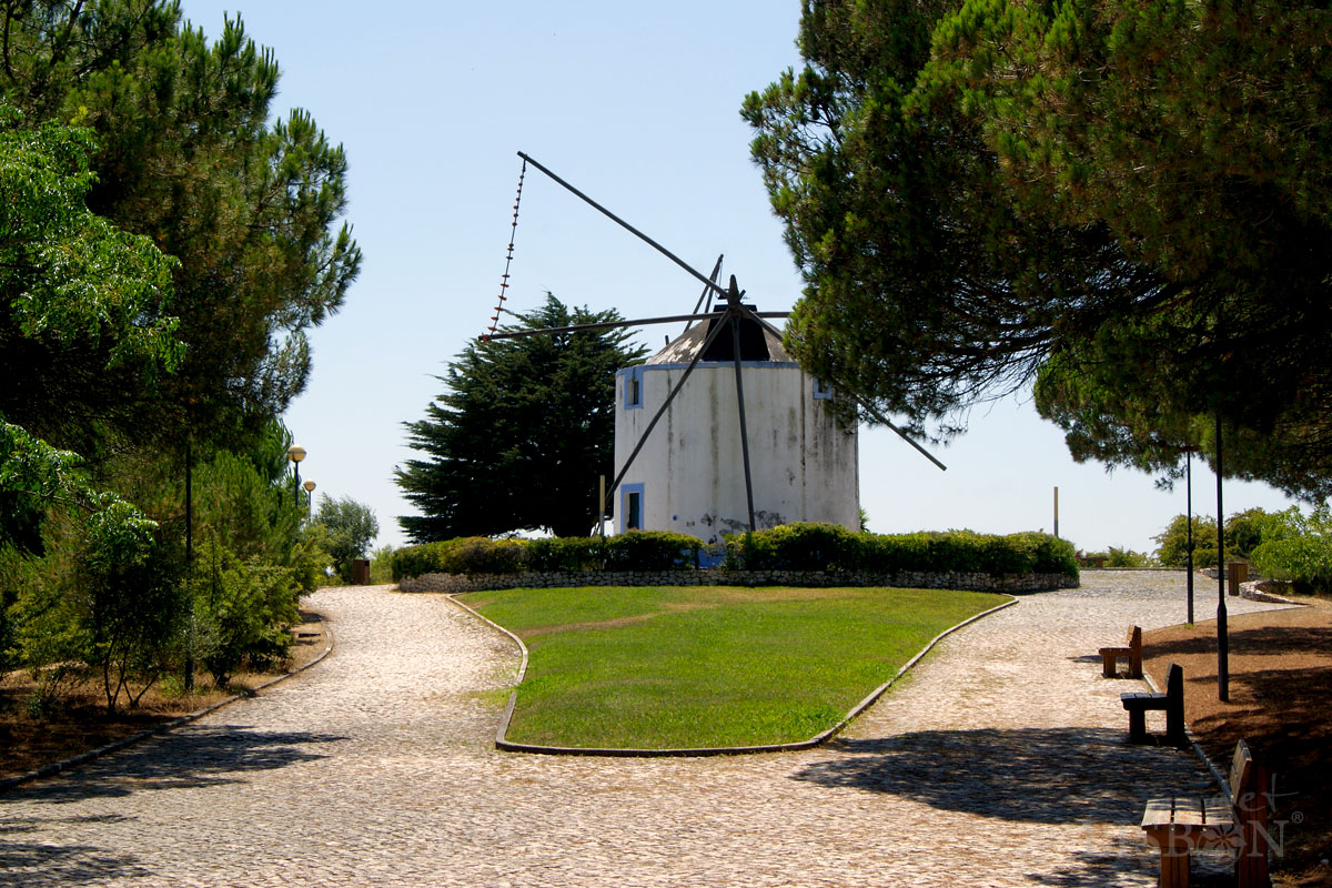 Parks and gardens to take the children and enjoy the view: Recreational Park of Moinhos de Santana