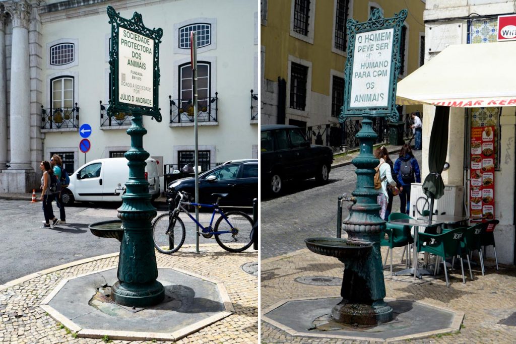 Fountain-drinking troughs in Santa Apolónia "Sociedade Protectora dos Animais founded in 1875. Donated to the society by Júlio D'Andrade" "Man must be compassionate and humane towards animals"