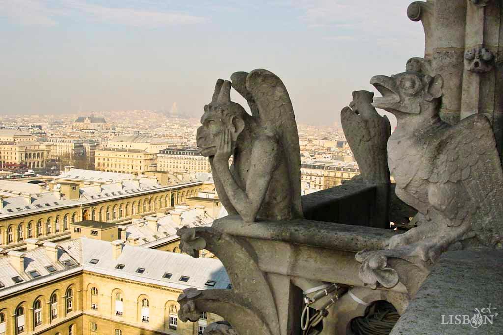 Gárgulas da Catedral de Notre Dame,Paris (2005). As gárgulas são elementos escultóricos que geralmente apresentam formas zoomórficas ou antropomórficas.