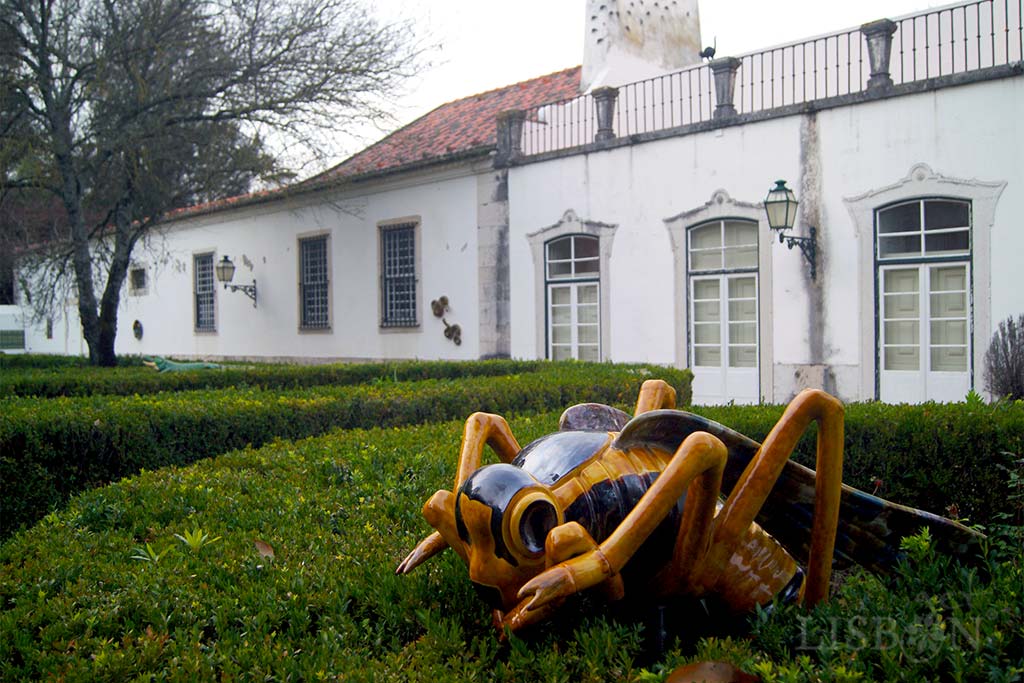 Vespa gigante sobre arbusto de buxo