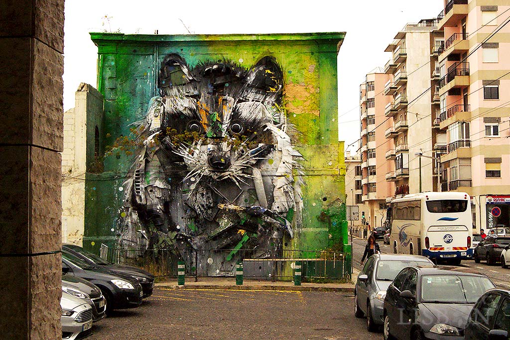 BordaloII's artwork: Big Raccoon, Belém