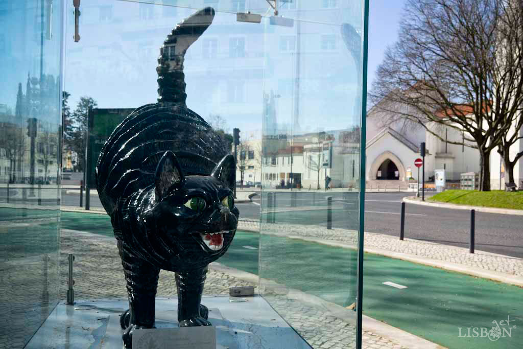 Gato Assanhado na Praça de Londres