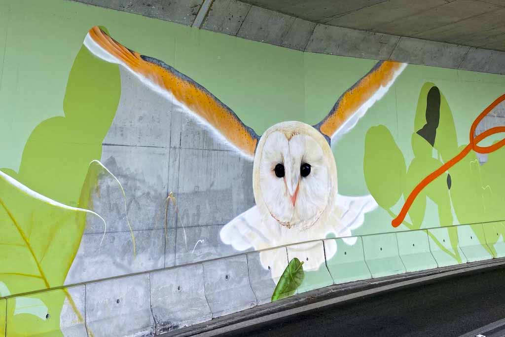 Fauna and Flora Tunnel of Arrábida, Setúbal. This long mural shows us aspects of the fauna and flora of Arrábida. Here the blue rock thrush, the barn owl, the peregrine falcon, the fox or the European polecat can be seen.