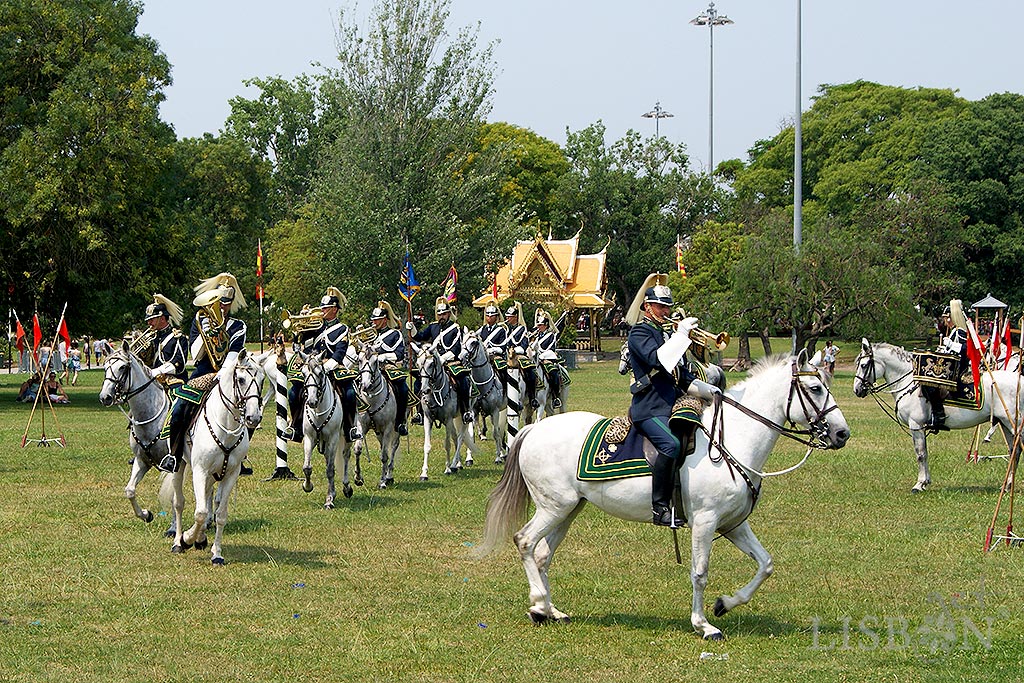 One of the seven unique reasons to visit Lisbon: performance of the Mounted Brass Band, the only band in the world that performs musical excerpts while in canter, mounted on decorated Lusitano horses.