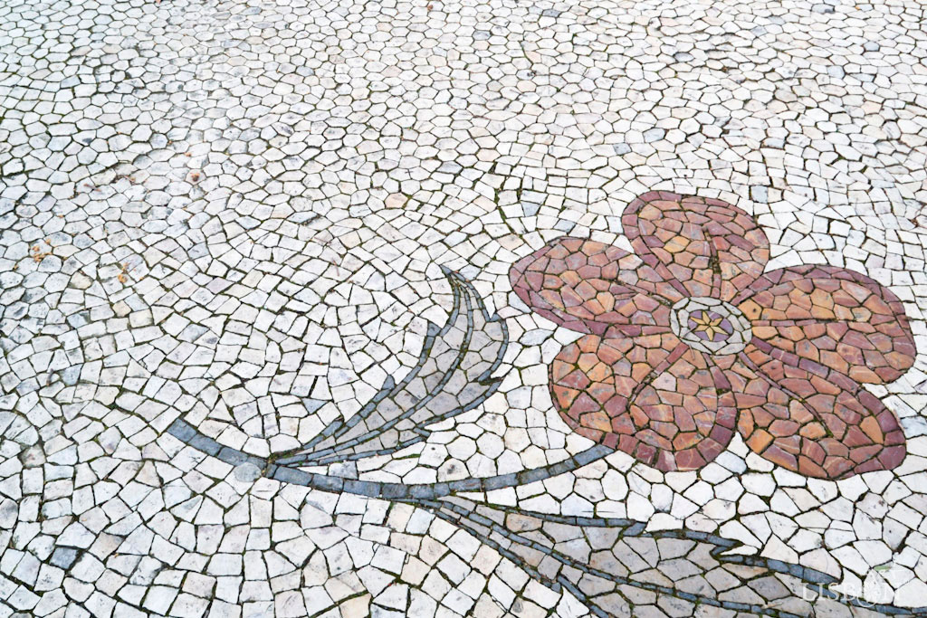 The Colours of the Portuguese Pavement in Rua Lopes de Mendonça: Different techniques of breaking stones: malhete e sextavado 
