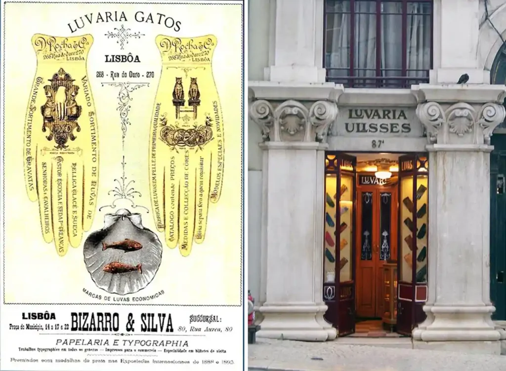 Luvaria Gatos - Praça do Município, 14 a 17 e 22 e Rua Áurea, 80 / Luvaria Ulisses – Rua do Carmo, 87